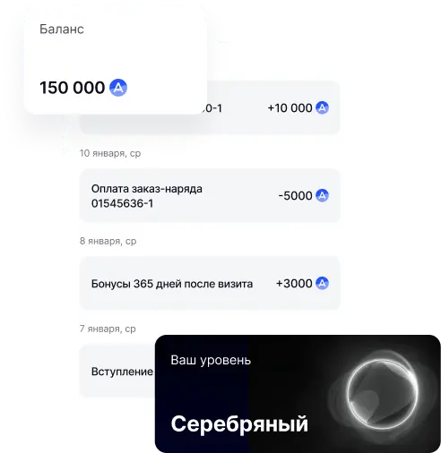 интерфейс программы лояльности в приложении